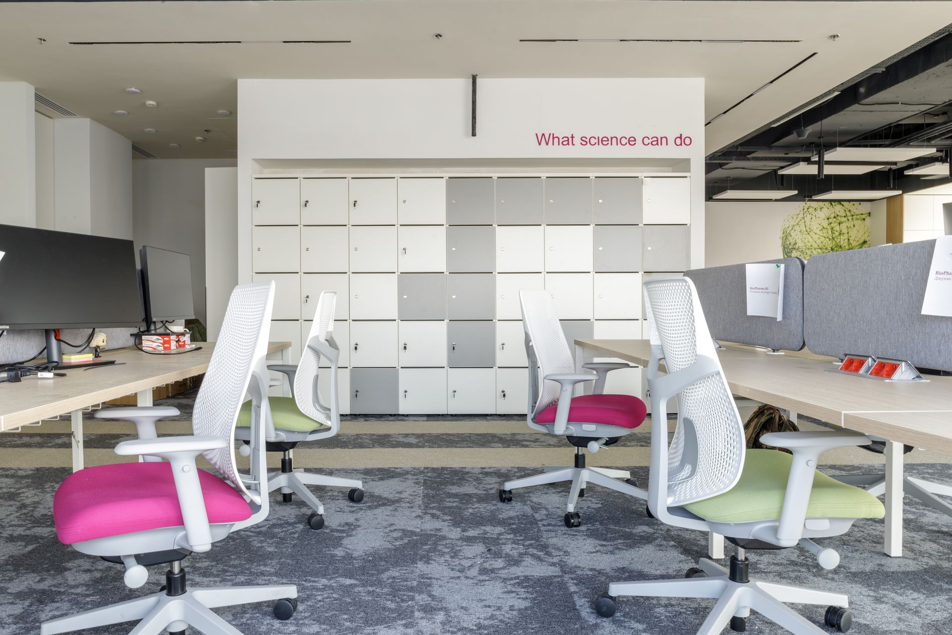 Herman Miller Sayl and Zeph chairs — biopharmaceutical corporation office, Almaty Kazakhstan