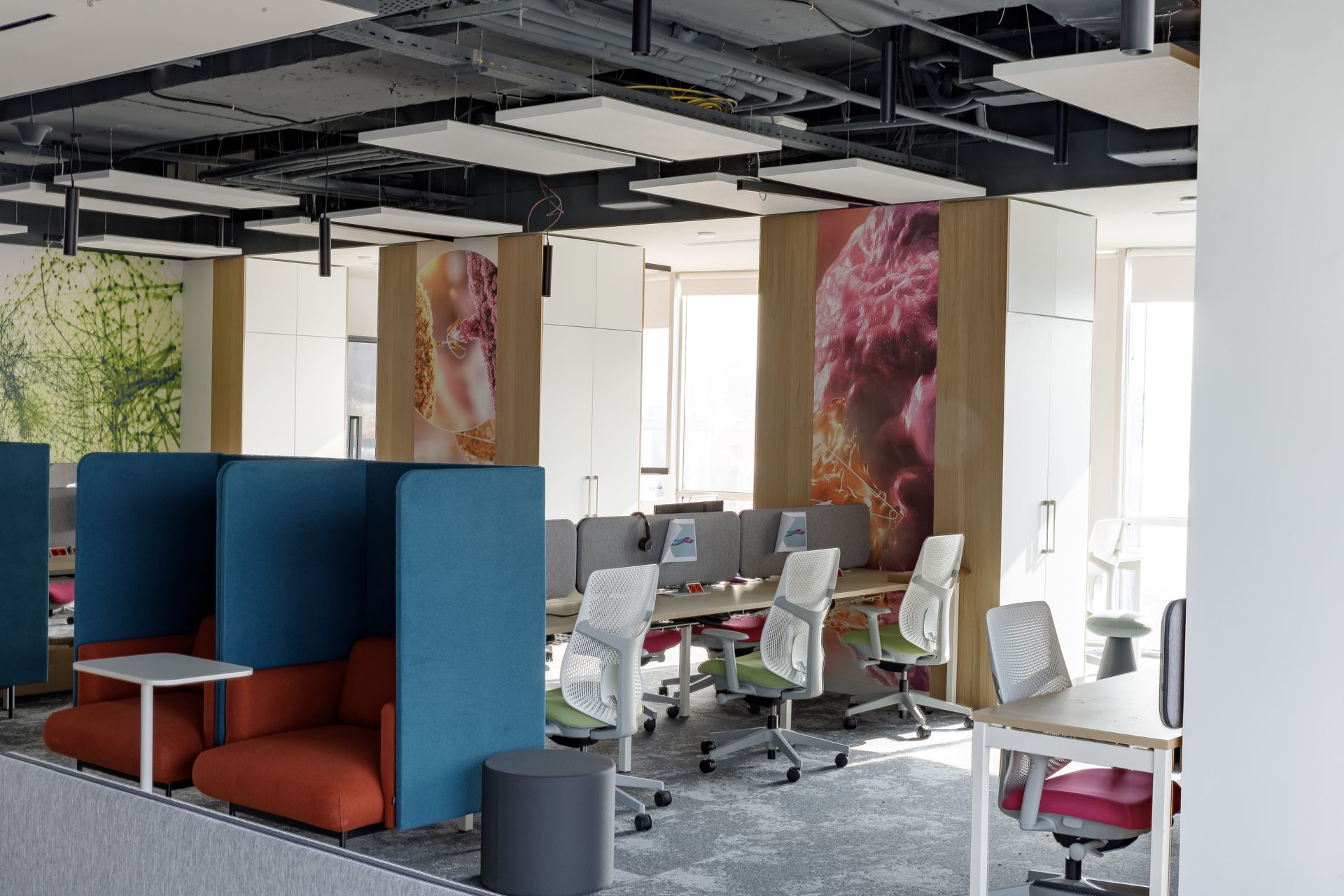 Herman Miller Sayl Chairs in a Pharmaceutical Workstatio environment