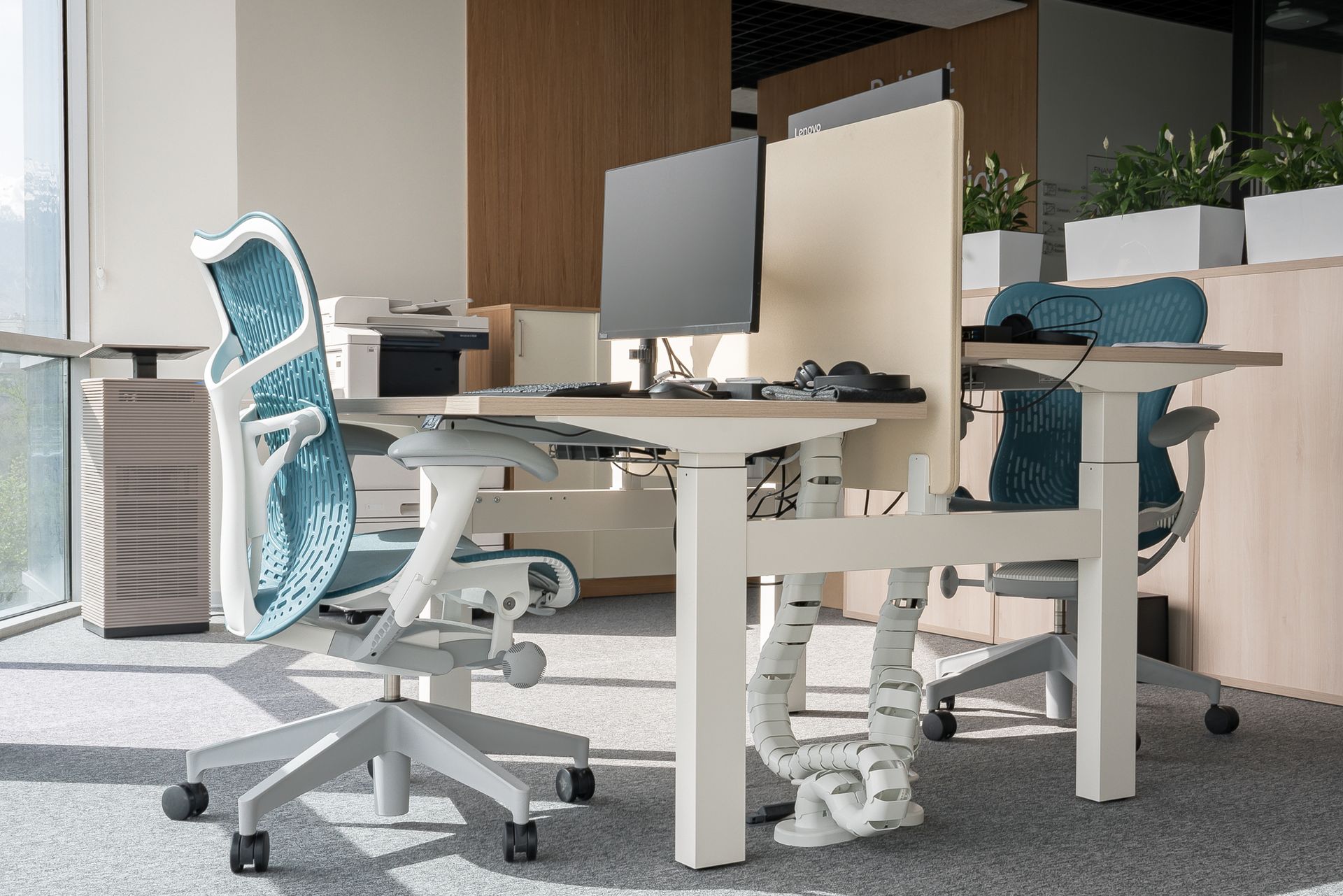 Herman Miller Mirra 2 Chair in Office Workspace Environment