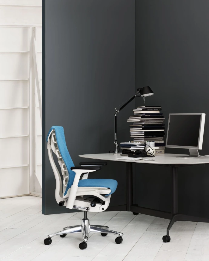 Herman Miller Embody ergonomic office chair in Kazakhstan