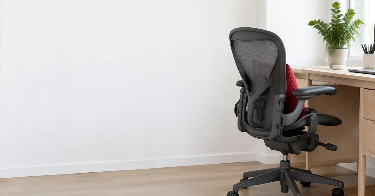 Herman Miller Aeron Chair Back view of a Herman Miller Aeron Chair with a pillow on it
