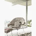 womb-chair-otto-ivory_2.webp
