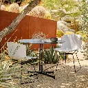 image_1 (26).webp