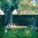 Knoll_37.webp