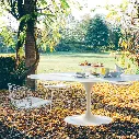 image_1 (3).webp
