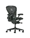 Aeron Jasper back angle R.webp
