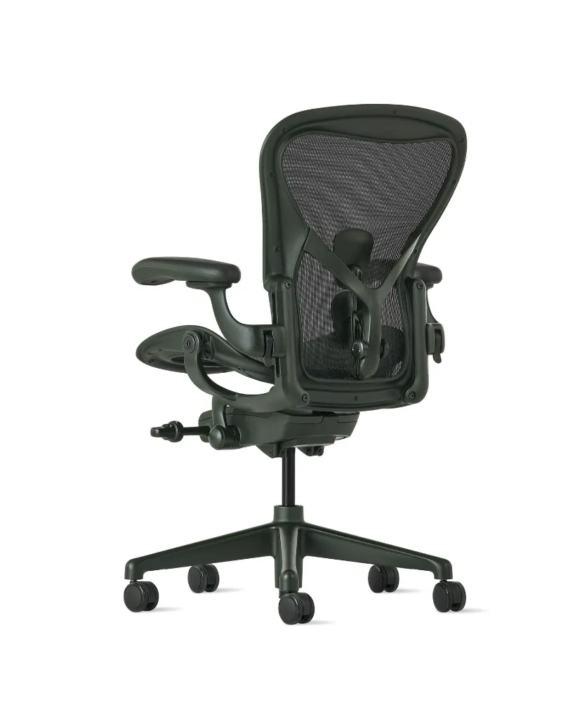 Aeron Jasper back angle L.webp