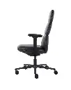Asari Chair
