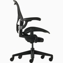 aeron-onyx (4).jpeg