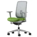 Herman Miller Verus Chair