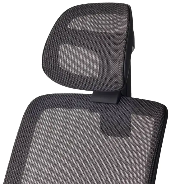 [PIA4Y-0001 BK 36506] Verus Headrest  (Graphite)